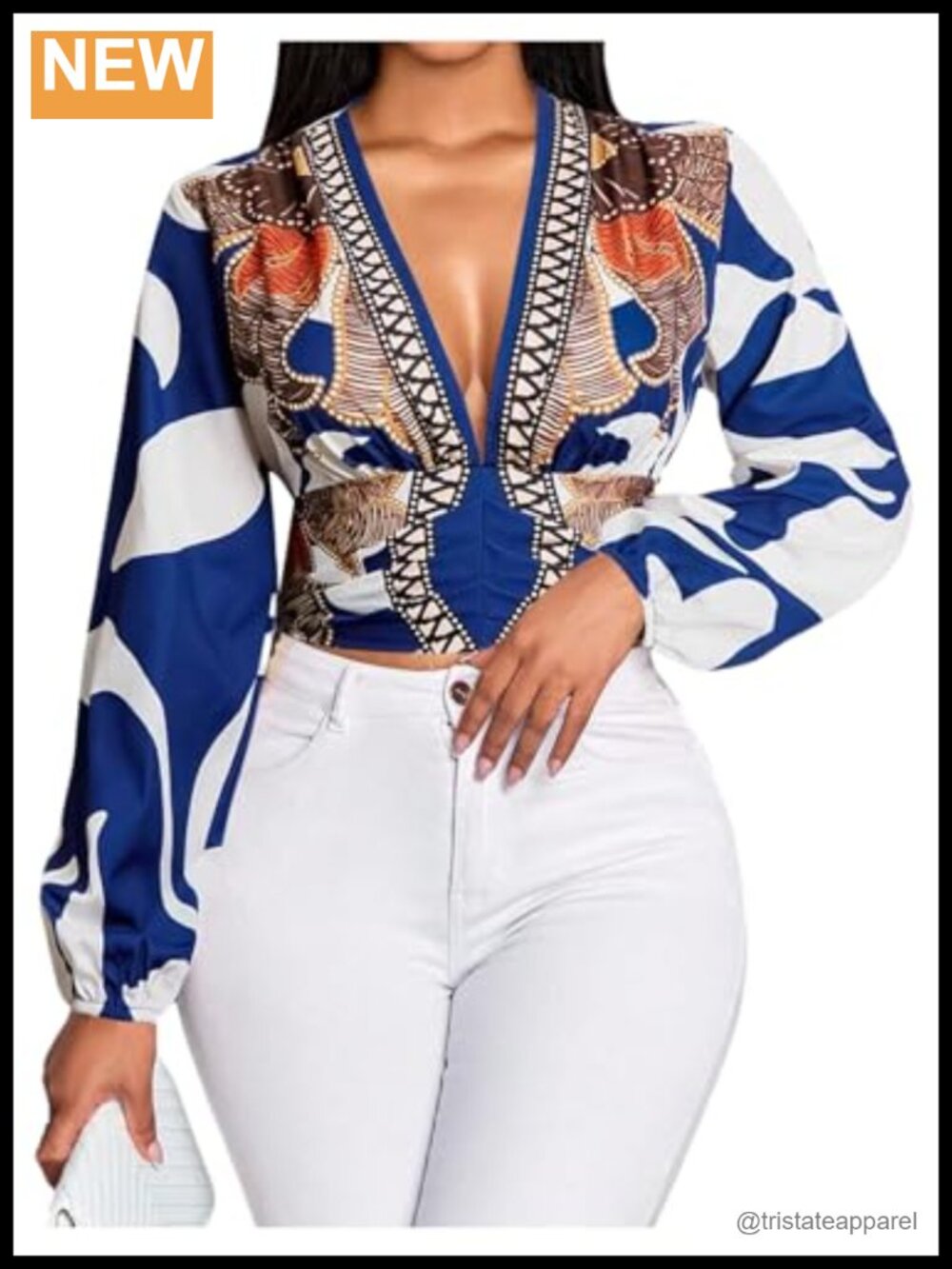 Boho Graphic V-Neck Blouse Cinched Waist Bishop Sleeve Long Sleeve Top